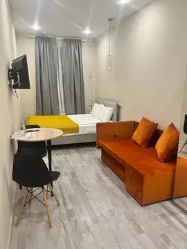 Студия Санкт-Петербург Большой Сампсониевский просп., 31 (19.0 м)