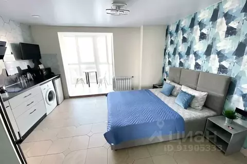 1-к кв. Алтайский край, Барнаул ул. Никитина, 107 (30.0 м)