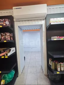 Помещение свободного назначения в Новосибирская область, Новосибирский ...