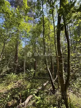 Участок в Ленинградская область, Выборгский район, Полянское с/пос, ...