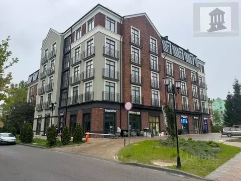 Студия Калининградская область, Светлогорск Калининградский просп., ...