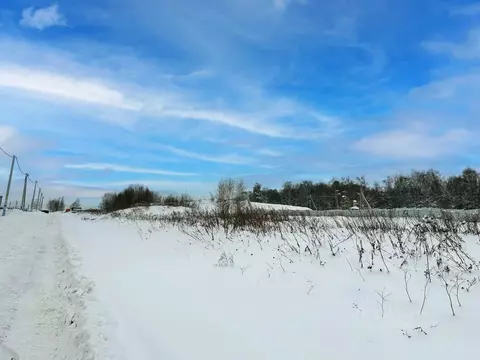 Участок в Московская область, Раменский муниципальный округ, с. ...