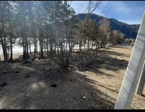 Участок в Алтай, Чемальский район, Узнезинское с/пос, с. Узнезя  (15.0 ...