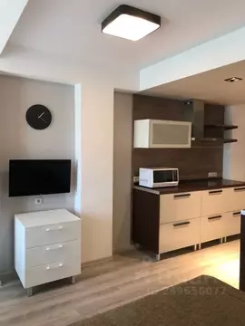 Студия Краснодарский край, Сочи ул. Полтавская, 54 (30.0 м)