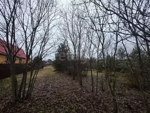 Участок в Владимирская область, Покров городской округ, д. Киржач ул. ...