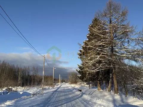 Участок в Ленинградская область, Кингисеппский район, Нежновское ...