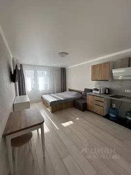 Студия Краснодарский край, Анапа ул. Ленина, 239 (27.7 м)