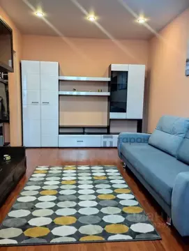 1-к кв. Челябинская область, Челябинск наб. Героя России С.А. Кислова, ...