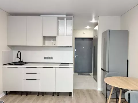 Студия Санкт-Петербург пос. Шушары, просп. Новгородский, 2к3 (30.0 м)