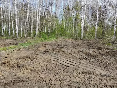 Участок в Новосибирская область, Новосибирский район, с. Барышево ул. ...