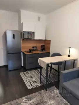 Студия Санкт-Петербург ул. Верхне-Каменская, 11к1 (24.9 м)