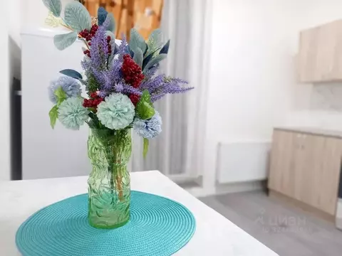 1-к кв. Санкт-Петербург ул. Плесецкая, 24 (35.63 м)