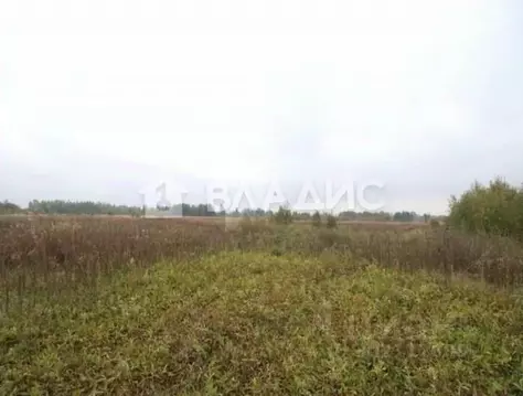 Участок в Забайкальский край, Читинский район, с. Верх-Чита  (6.0 ...