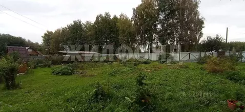 Участок в Новосибирская область, Новосибирский район, Барышевский ...