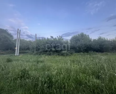 Участок в Воронежская область, Рамонский район, Русскогвоздевское ...