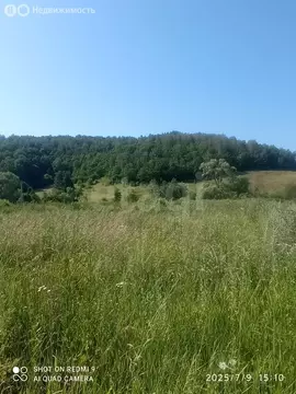 Участок в Лямбирский район, Пензятское сельское поселение, село ...