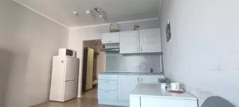 Студия Московская область, Мытищи ул. Мира, 39 (23.0 м)