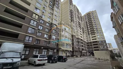 Студия Краснодарский край, Анапа ул. Ленина (41.0 м)