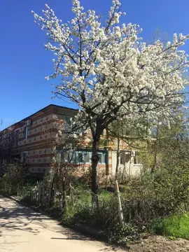 2-к кв. Краснодарский край, Анапа Парковая ул., 68 (50.0 м)