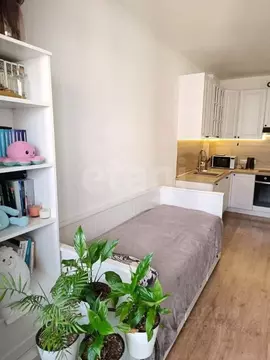 Студия Санкт-Петербург просп. Ветеранов, 171к2 (25.0 м)