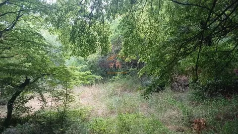 Участок в Крым, Ялта муниципальный округ, Симеиз пгт  (5.7 сот.)