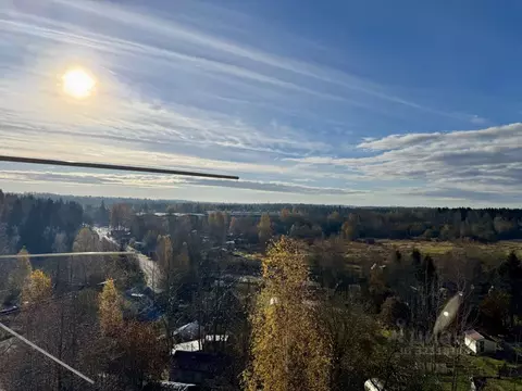 2-к кв. Ленинградская область, Всеволожский район, Куйвозовское с/пос, ...