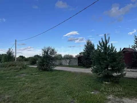 Участок в Амурская область, Благовещенский район, с. Владимировка ул. ...