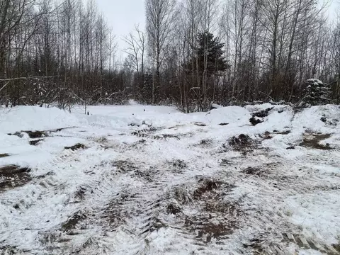 Участок в Пермский край, Добрянка ул. Пермская, 7 (6.0 сот.)