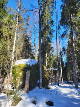 Участок в Ленинградская область, Выборг проезд Средний Лесной, 11 ...