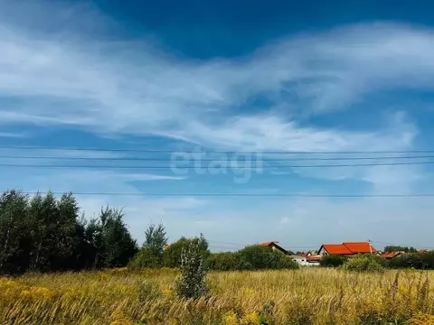 Участок в Ярославская область, Ярославский муниципальный округ, Бор ...
