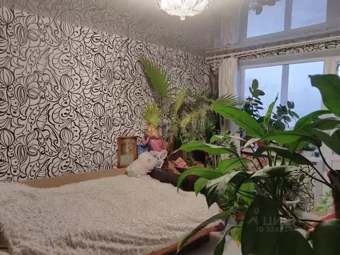 2-к кв. Пермский край, Пермь ул. Адмирала Старикова, 17 (47.2 м)