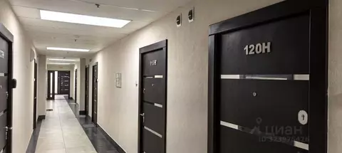 Студия Санкт-Петербург 5-й Предпортовый проезд, 2 (25.0 м)