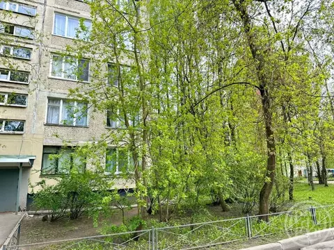 1-комнатная квартира: Санкт-Петербург, Будапештская улица, 38к7 (52 м)