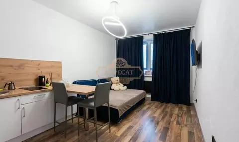 Студия Ленинградская область, Мурино Всеволожский район, бул. ...