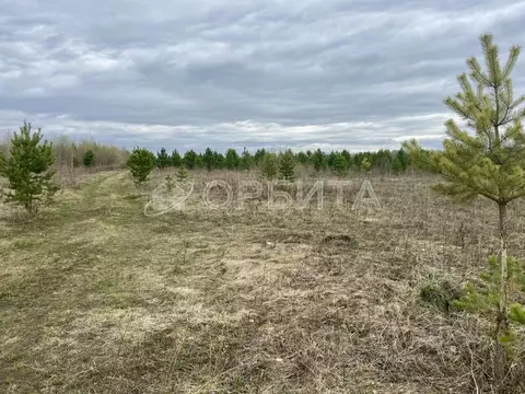 Участок в Тюменская область, Тюменский муниципальный округ, с. ...