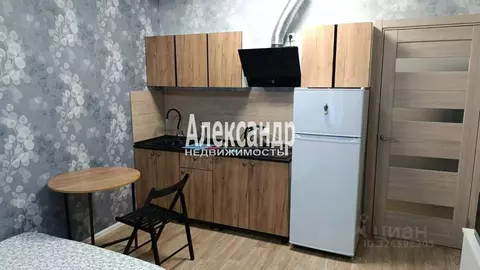 Студия Санкт-Петербург дор. Муринская, 25к2 (20.3 м)