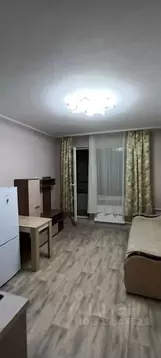 Студия Санкт-Петербург пос. Шушары, просп. Старорусский, 8к1 (25.0 м)