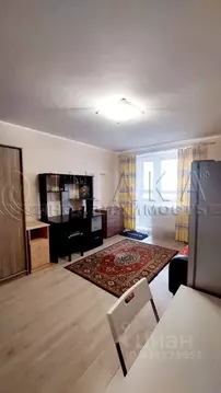 Студия Санкт-Петербург пос. Парголово, ул. Михаила Дудина, 10 (26.1 м)