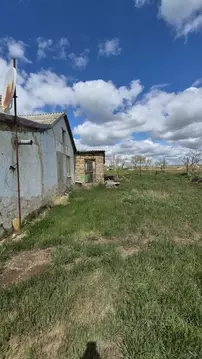 Дом в Крым, Сакский район, с. Молочное ул. Садовая, 15 (40 м)