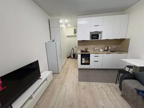 Студия Москва просп. Прокшинский, 5 (23.0 м)