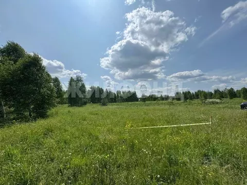 Участок в Новосибирская область, Новосибирский район, Каменский ...