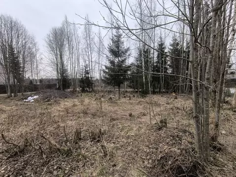 Участок в Ленинградская область, Всеволожский район, Лесколовское ...