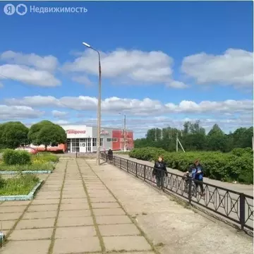 Участок в деревня Оржицы, Центральный проспект (6 м)