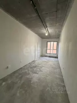 Студия Башкортостан, Уфа ул. Менделеева, 137 (25.5 м)
