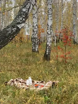 Участок в Омская область, Омский район, Пушкинское с/пос, д. Ракитинка ...