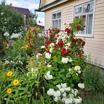 Дом в Тверская область, Конаково ГРЭС-7 СНТ, ул. Седьмая, 148 (37 м)