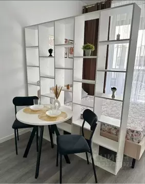 Студия Санкт-Петербург просп. Ветеранов, 198 (24.0 м)