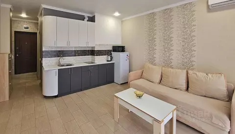 Студия Краснодарский край, Сочи Адлер жилрайон, ул. Троицкая, 94 (23.5 ...