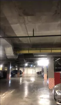 Гараж в Москва Березовая аллея, 17к1 (14 м)