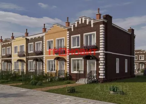 2-к кв. Новосибирская область, Новосибирский район, Мичуринский ...